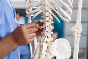 Close up of nurse pointing at spine bones on human skeleton to explain diagnosis to senior patient.